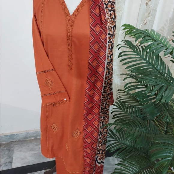 Winter karandi 3 piece suits - Picture 2 of 2